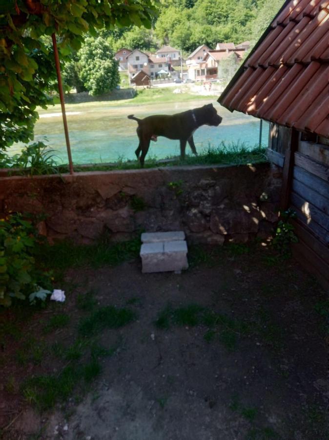 Alfa Appartement Kulen Vakuf Buitenkant foto